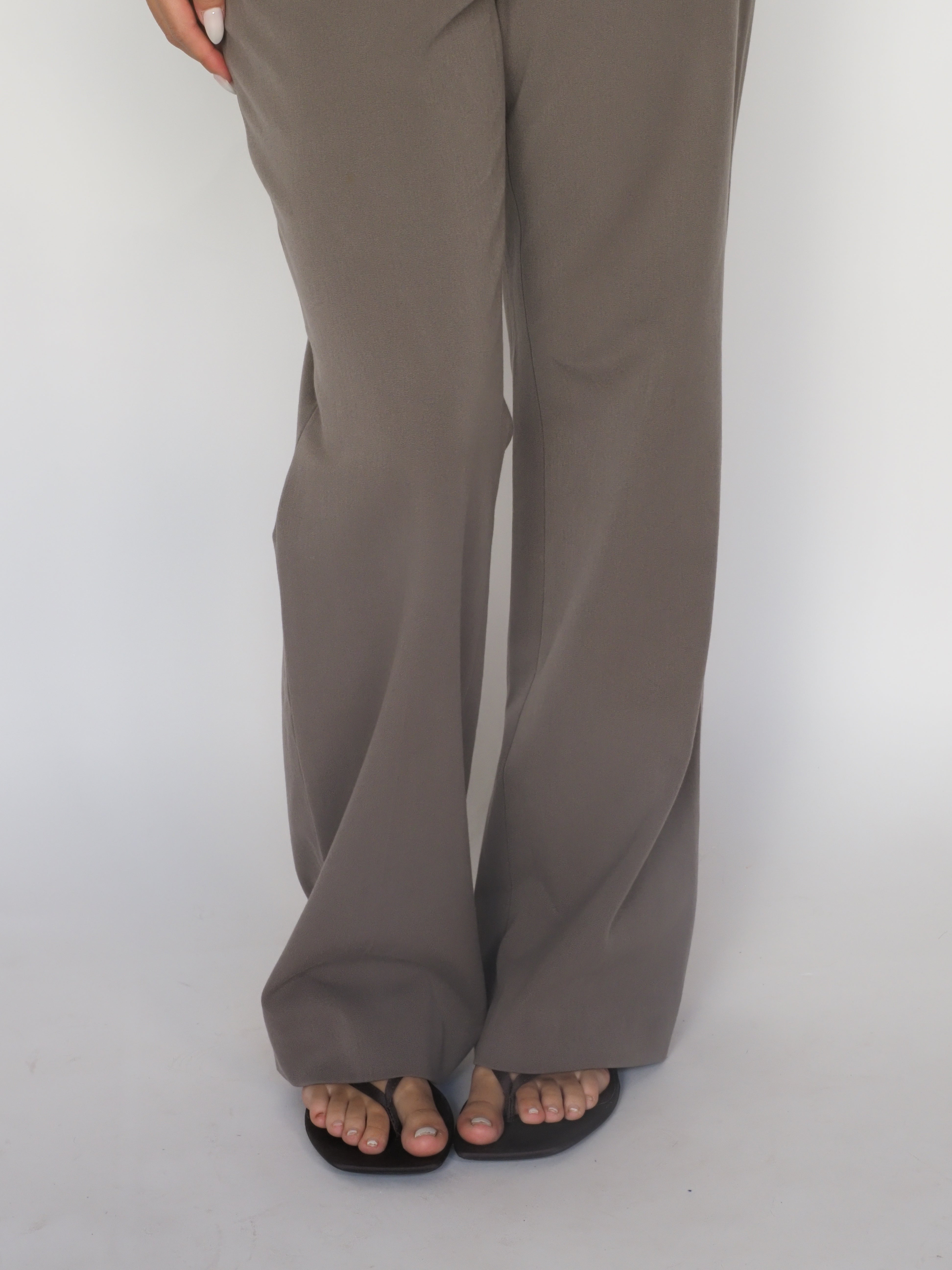Taupe Wide-Leg Dress Trousers – Express