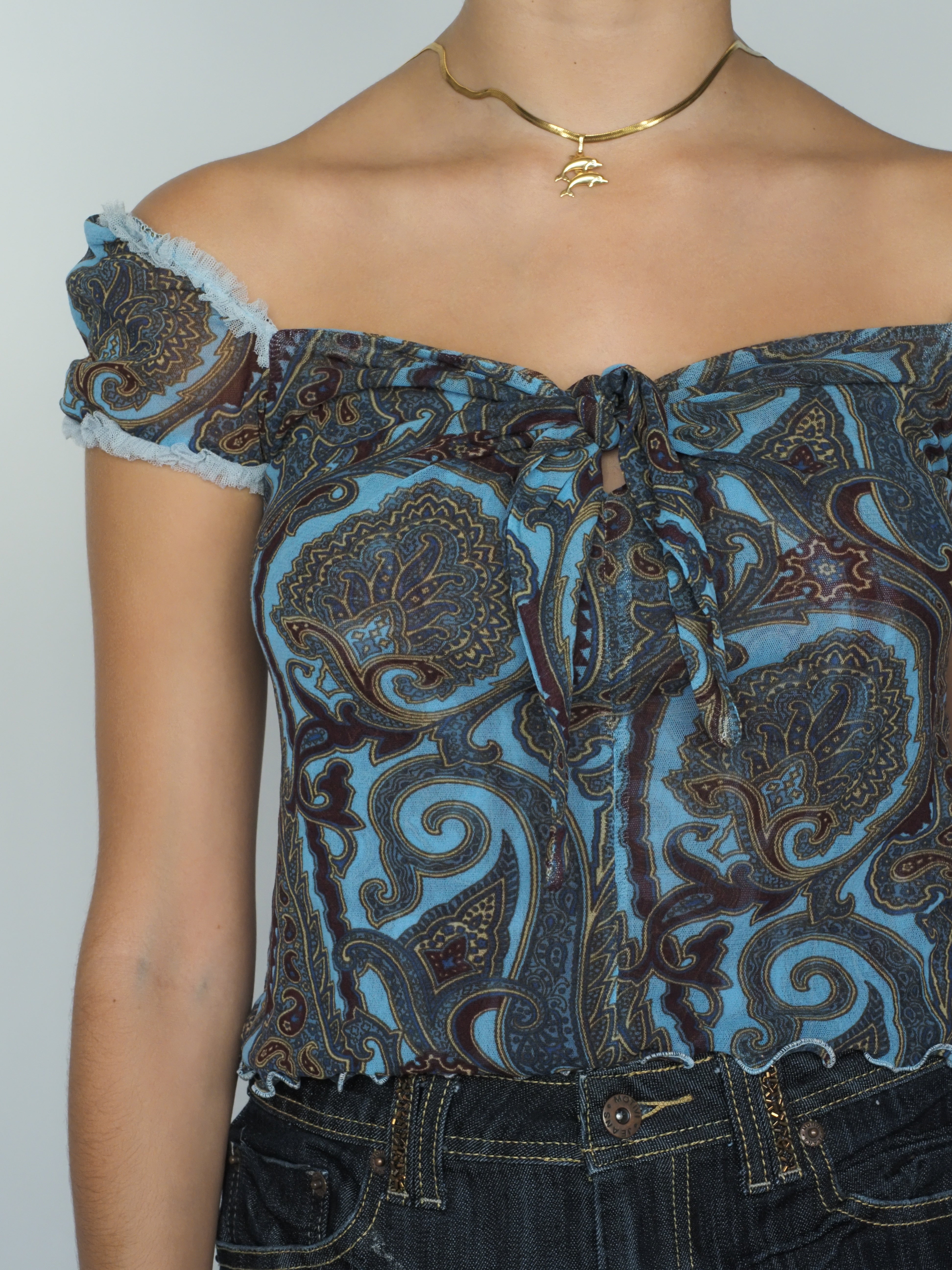 Blue & Brown Paisley Sheer Off-Shoulder Top – Shake